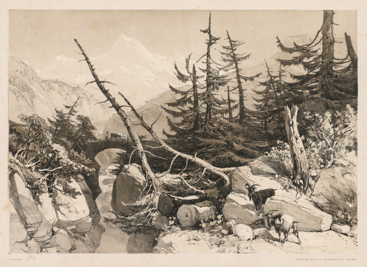 Fyrretræer og bro, 1841. af James Duffield Harding