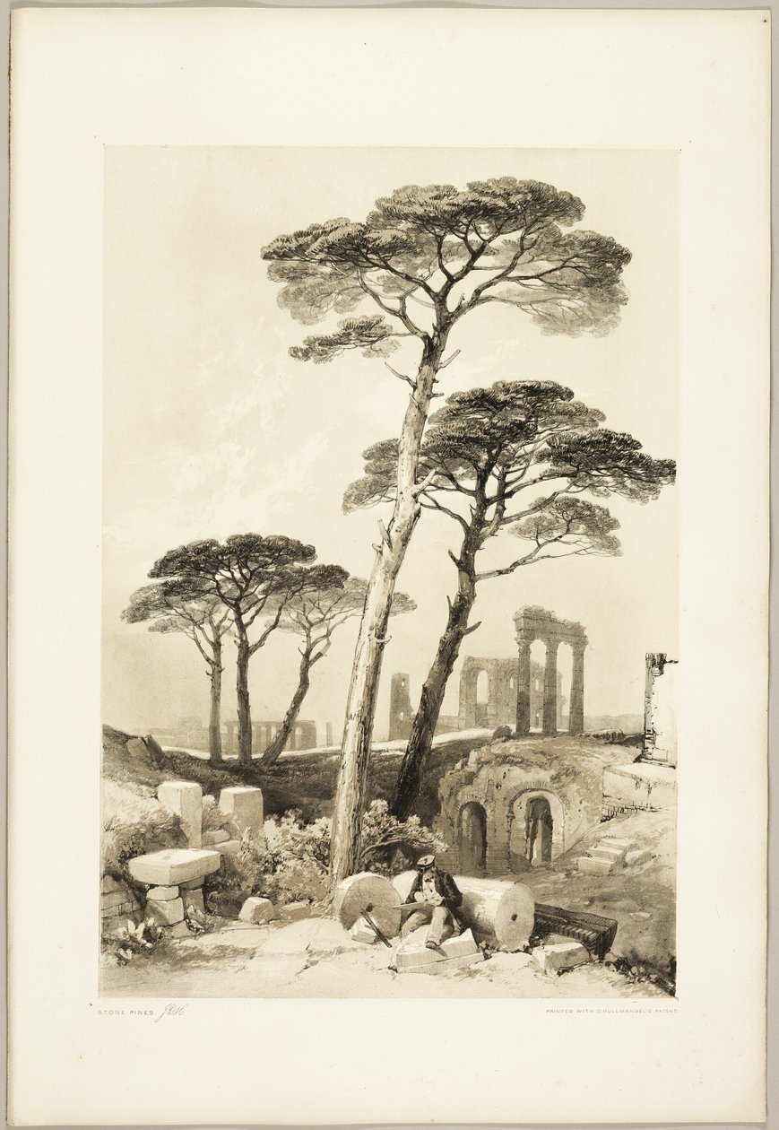 Stone Pines, fra Parken og Skoven af James Duffield Harding