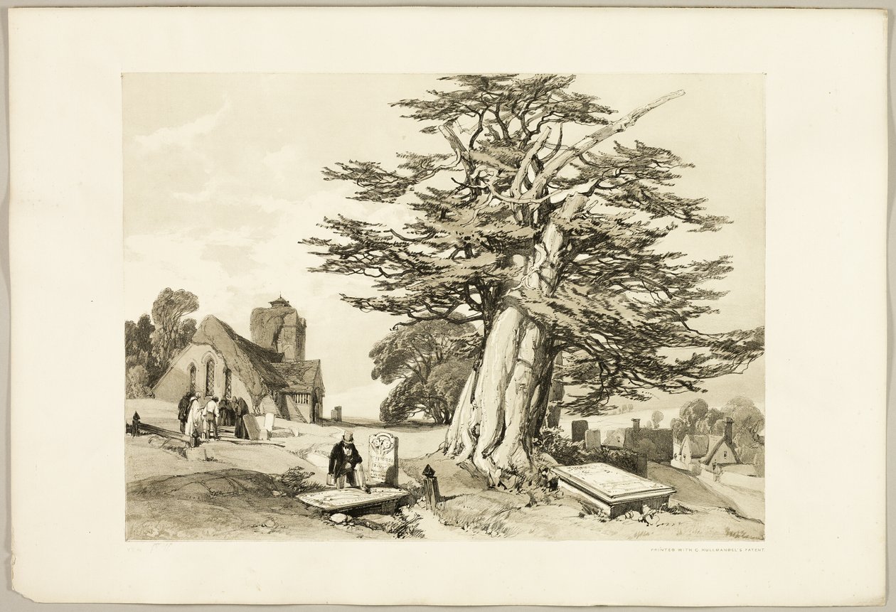 Taks, fra Parken og Skoven af James Duffield Harding