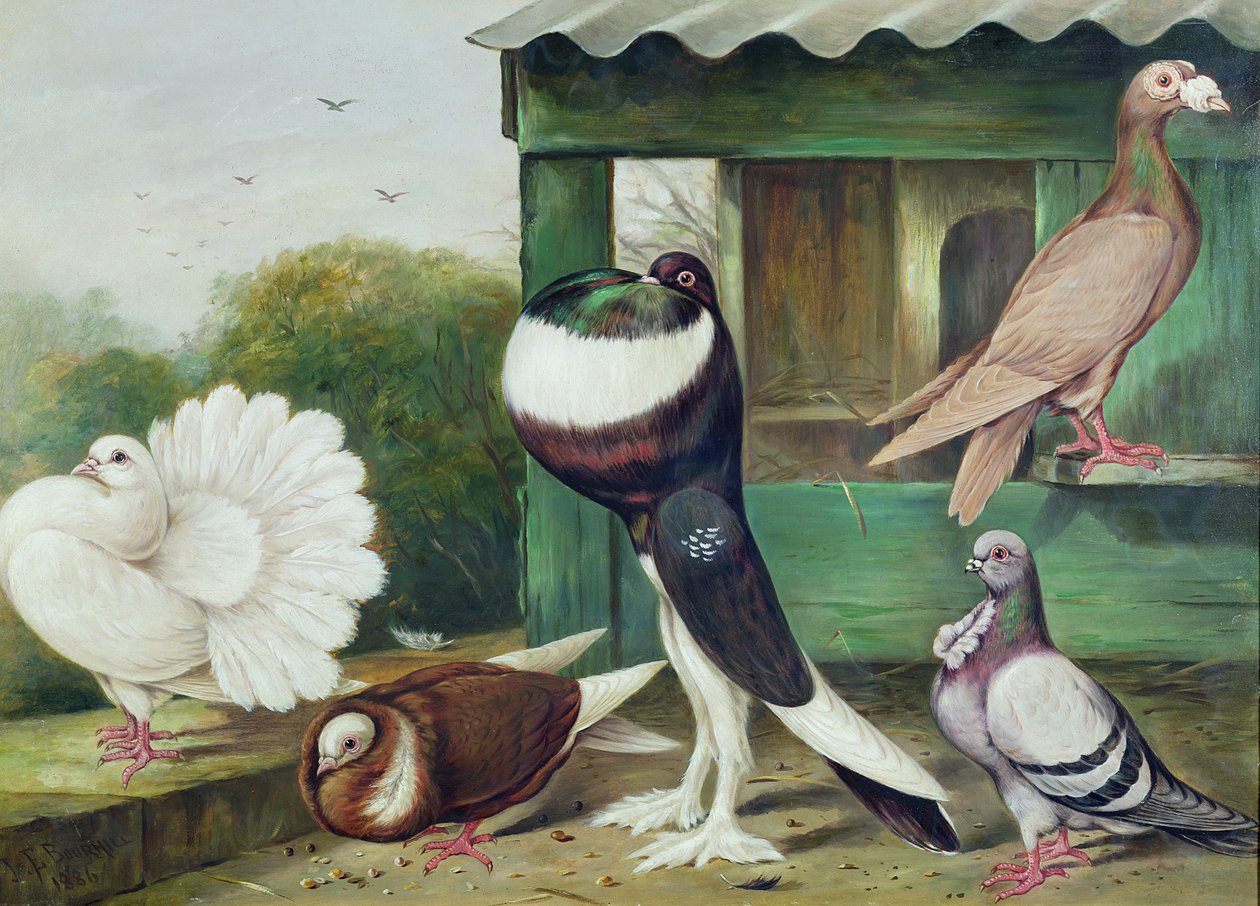 Ukendt billede af James E. Bourhill