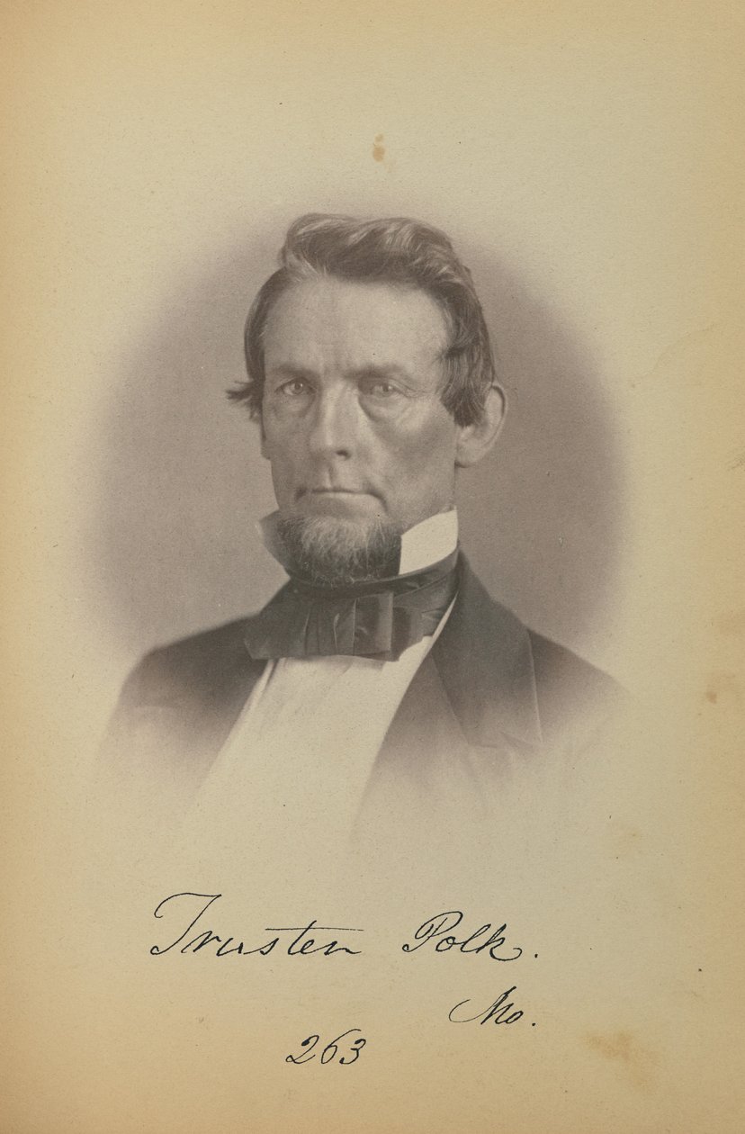 Trusten Polk af James Earle McClees