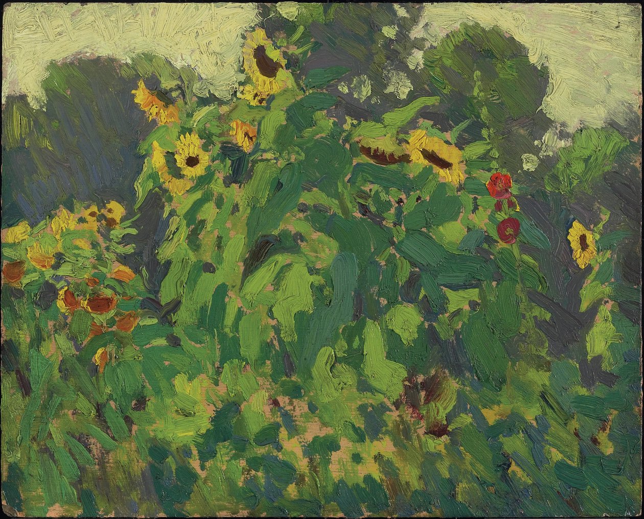 Solsikker, Thornhill, 1916 (olie på komposit træ-pulpplade) af James Edward Hervey Macdonald