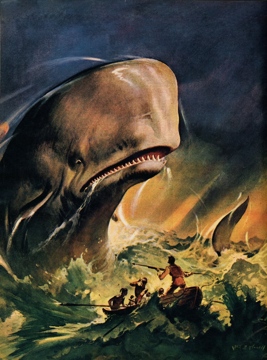 Moby Dick (litografi i farver) af James Edwin McConnell