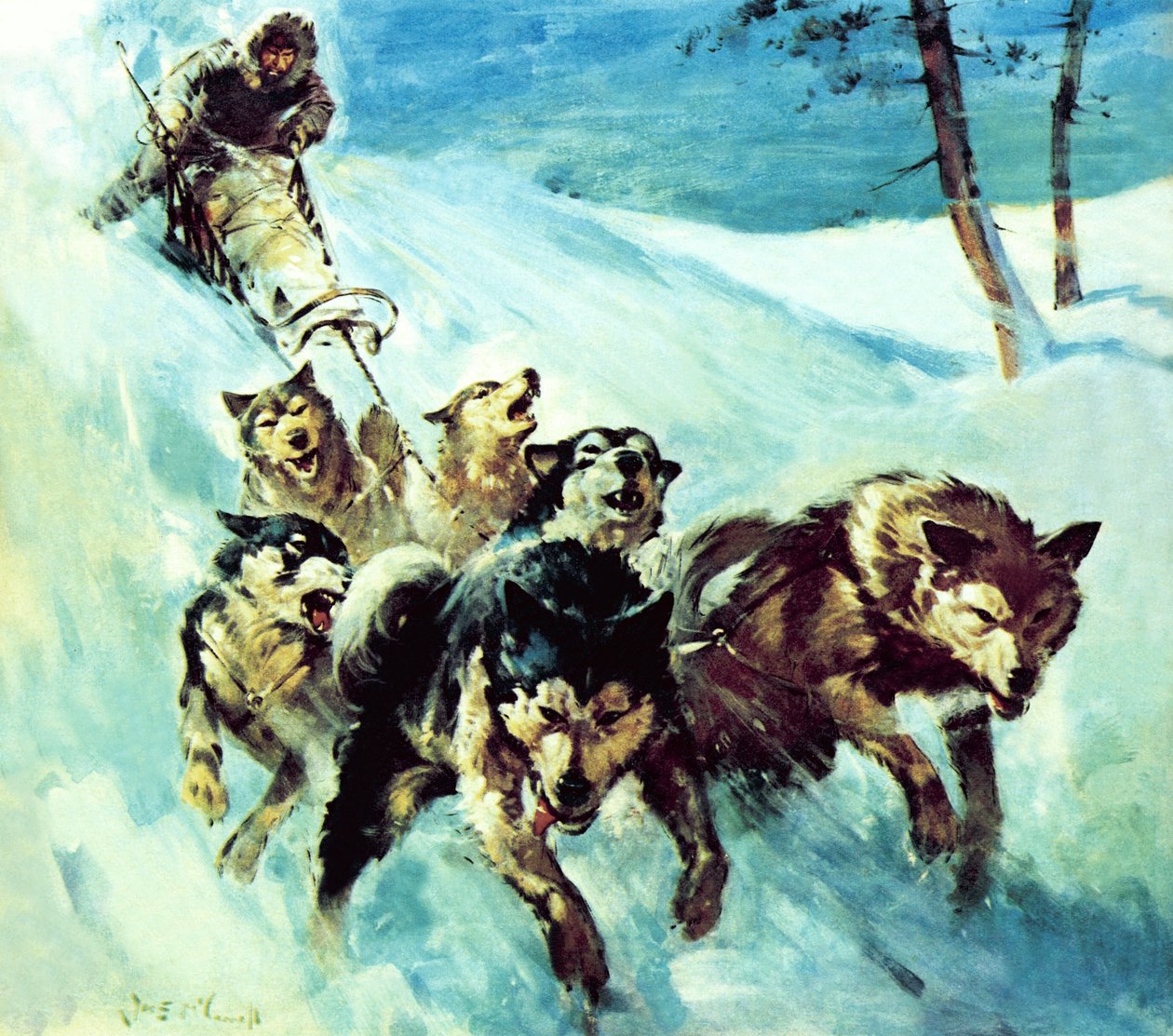 Den canadiske husky af James Edwin McConnell