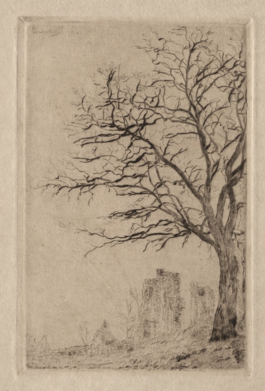 Akacie af James Ensor