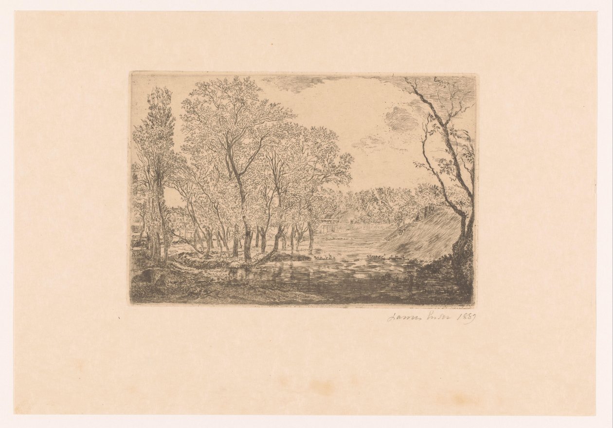 Landskab med poppel ved vandet La mare aux peupliers af James Ensor