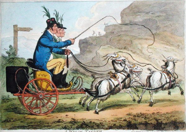 A Welch Tandem, udgivet af Hannah Humphrey i 1803 (håndfarvet radering) af James Gillray