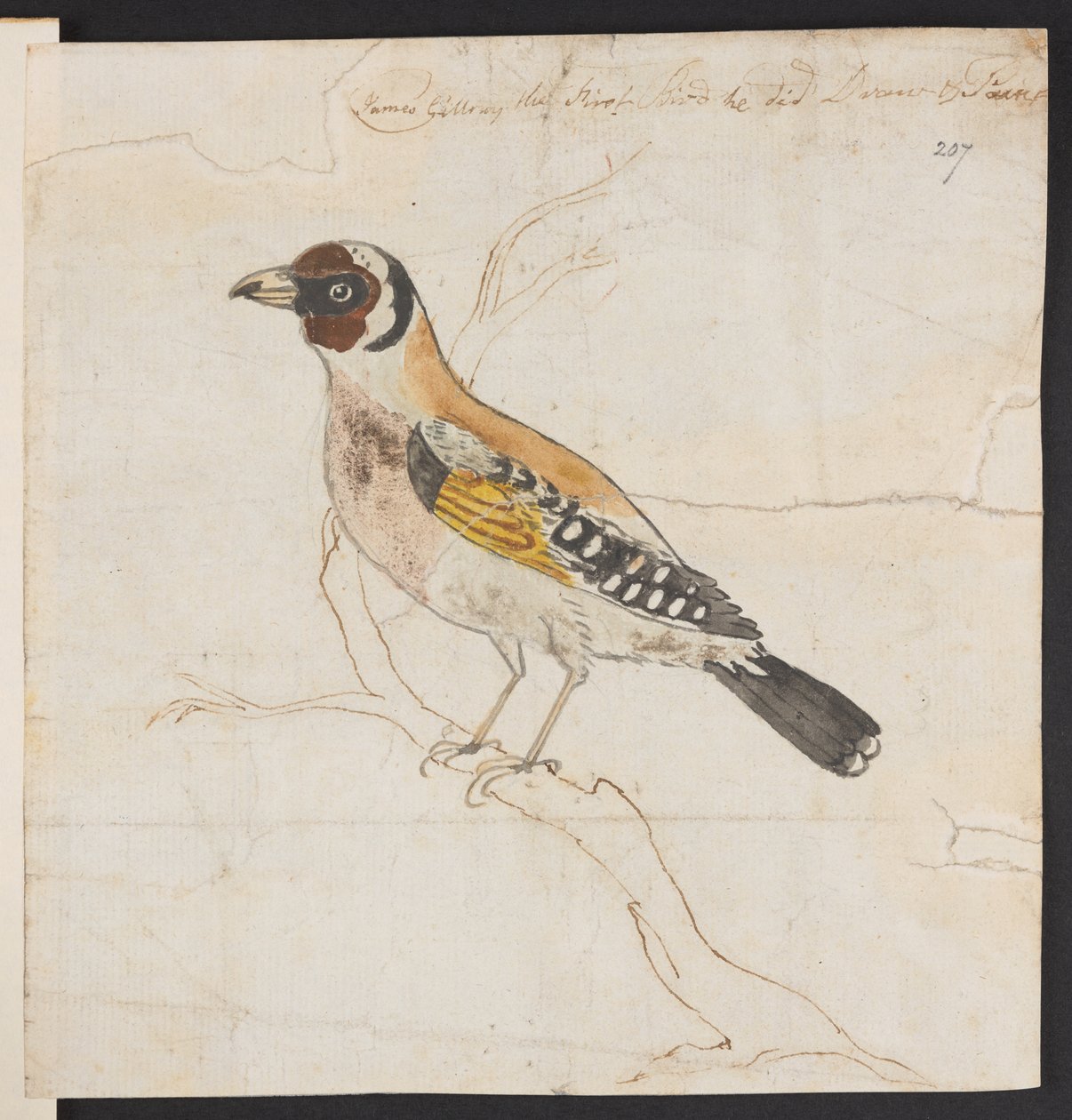 Fuglebo, ca. 1757-1815 (akvarel og blæk) af James Gillray