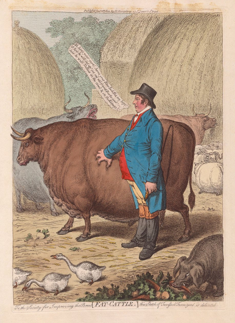 Fat Cattle, pub. 1802 (håndfarvet gravering) af James Gillray