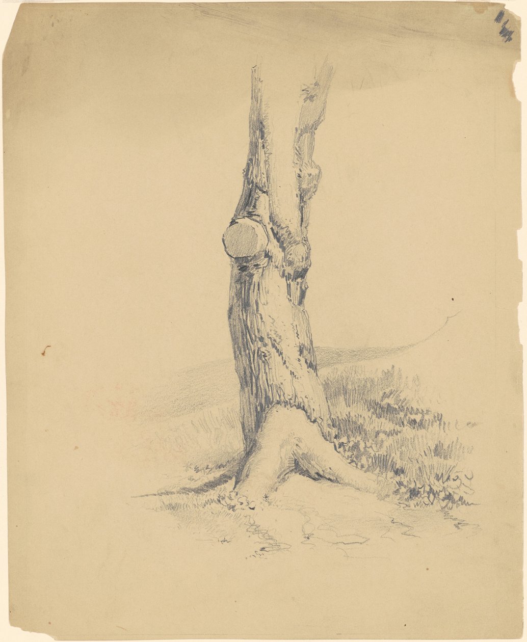 Gammel træstamme af James Goodwyn Clonney