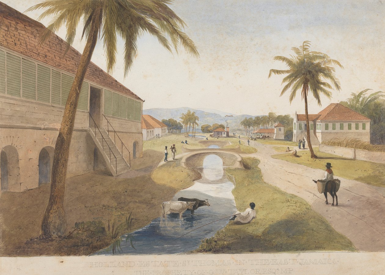 Holland Estate, St. Thomas i Østen, Jamaica [En af ] af James Hakewill