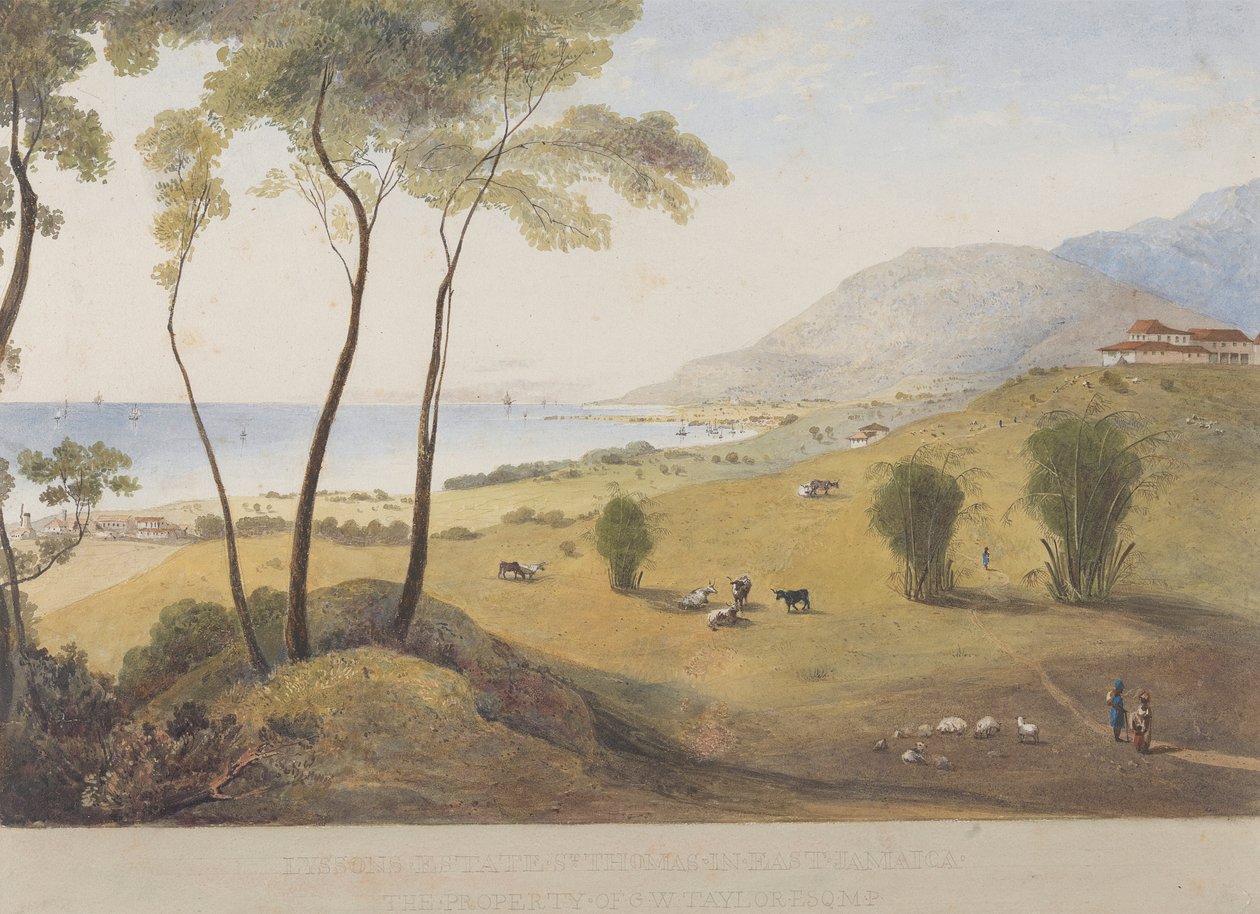 Lyssons Estate, St. Thomas i Østen, Jamaica af James Hakewill