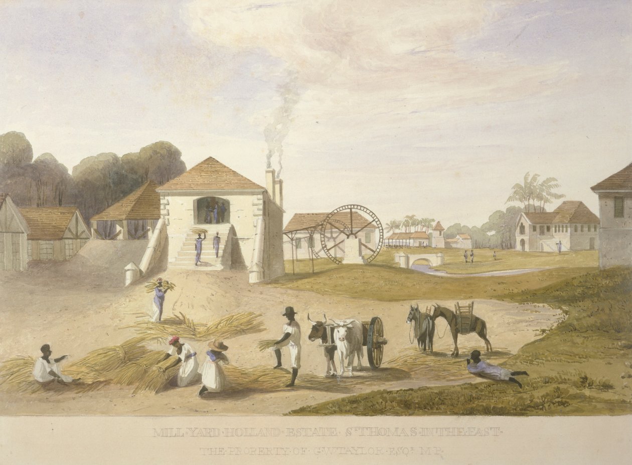 Mølleværft, Holland Estate, St. Thomas i Østen af James Hakewill