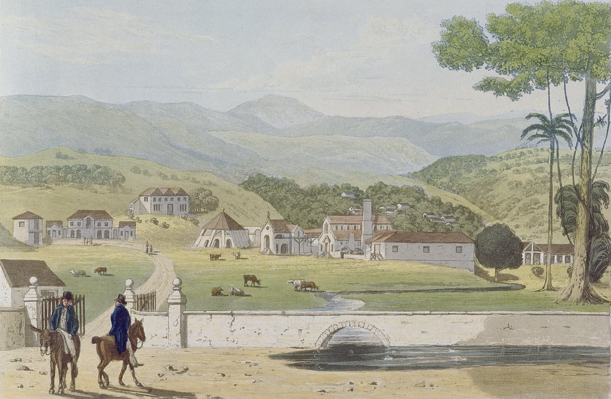 Montpelier Estates, St. James, fra 