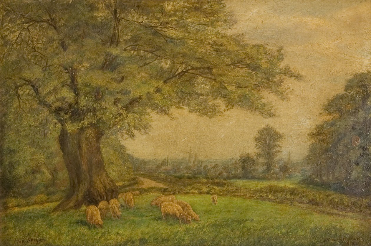 Coventrys spir på lang afstand af James Henry Bambrick
