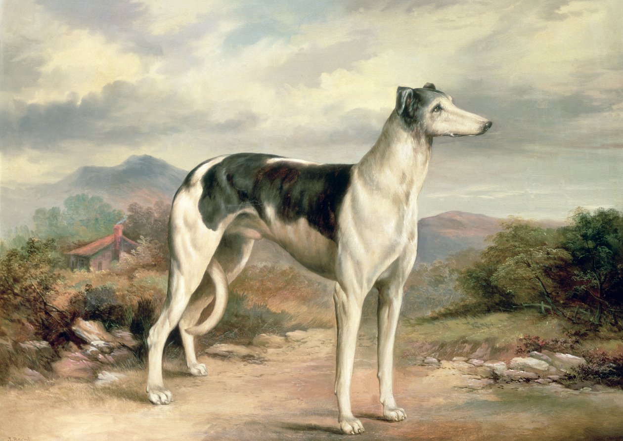 En Greyhound i et bakket landskab af James Henry Beard