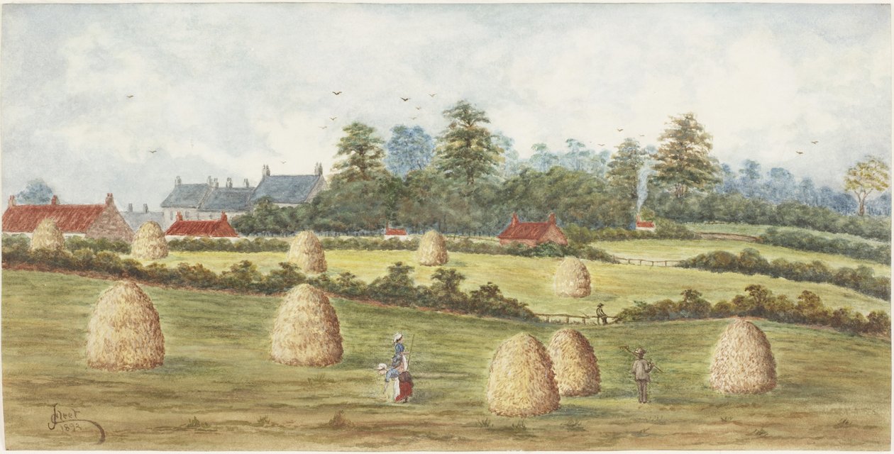 Chirton fra Meadowell Farm (akvarel og kropsfarve på papir) af James Henry Cleet