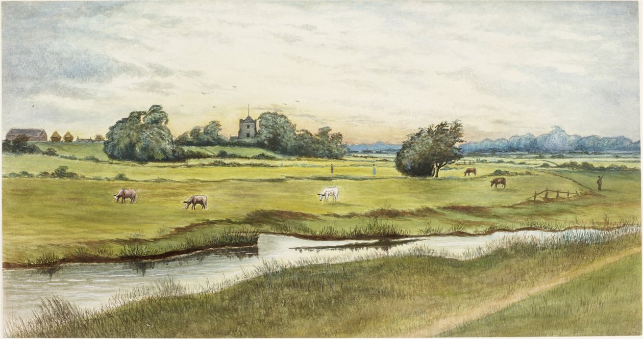 Ryton Meadows (akvarel og kropsfarve på papir) af James Henry Cleet