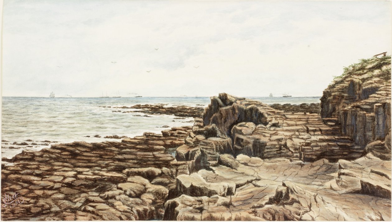 Tynemouth set fra Sharpness Point (akvarel og bodycolour på papir) af James Henry Cleet