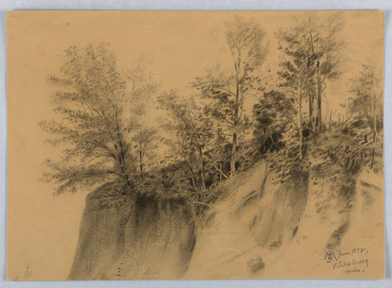Cliff and Trees, Vicksburg, Miss. af James Henry Moser