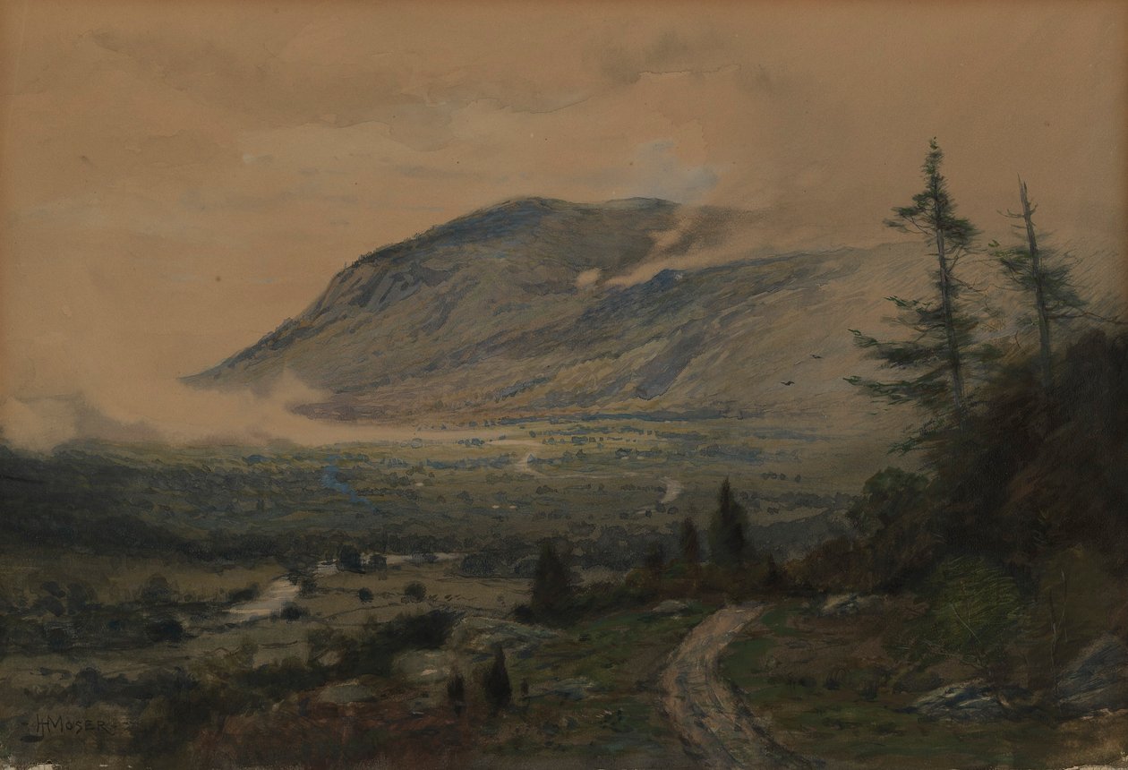 Bjerg og dal af James Henry Moser