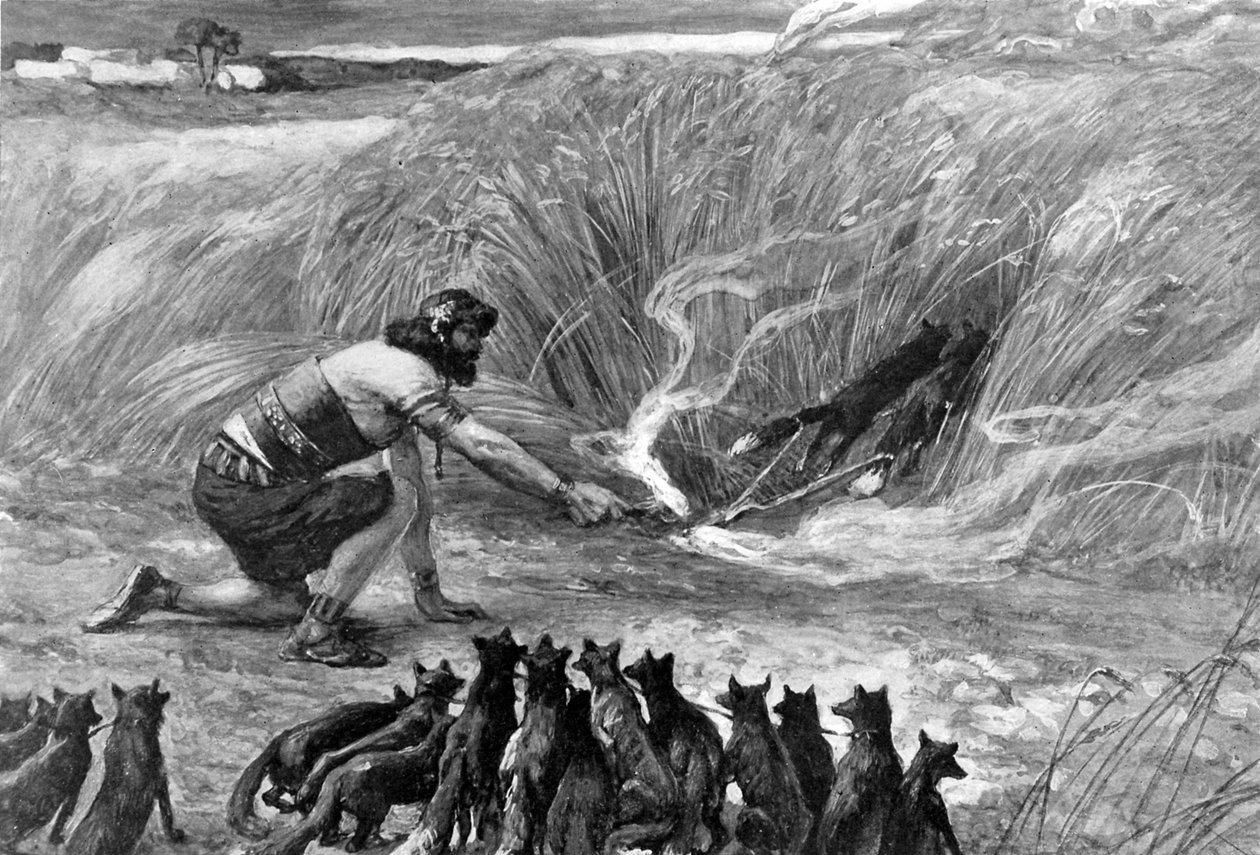 Samson og rævene af J James Tissot - Bibelen af James Jacques Joseph (after) Tissot