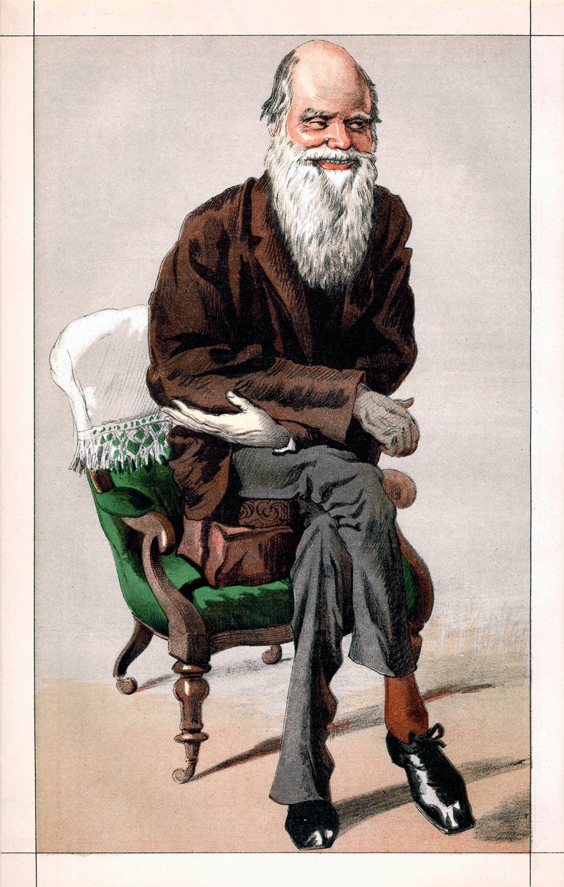 Portræt af Charles Darwin af James Jacques Joseph  Tissot