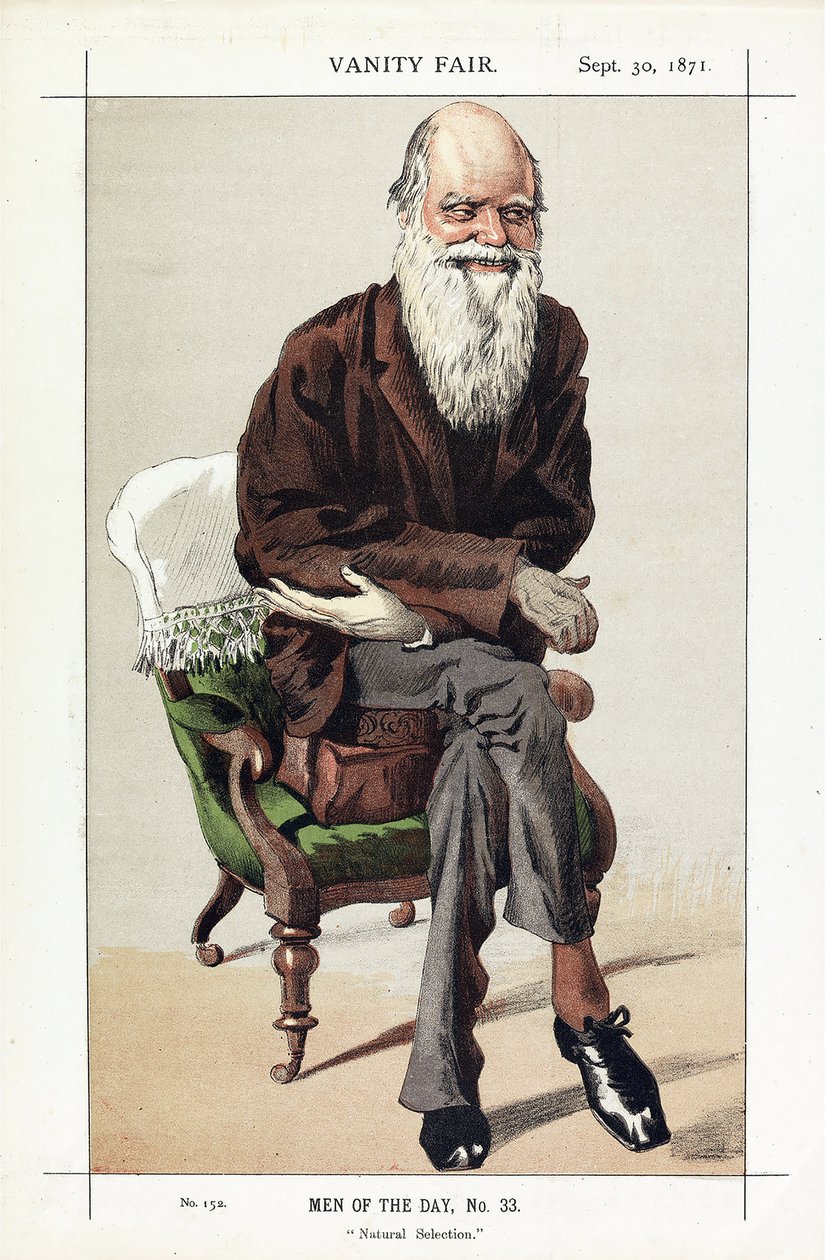 Charles Darwin, Men of the Day, nr. 33, Natural Selection, fra Vanity Fair, udg. 1871 af James Jacques Joseph Tissot