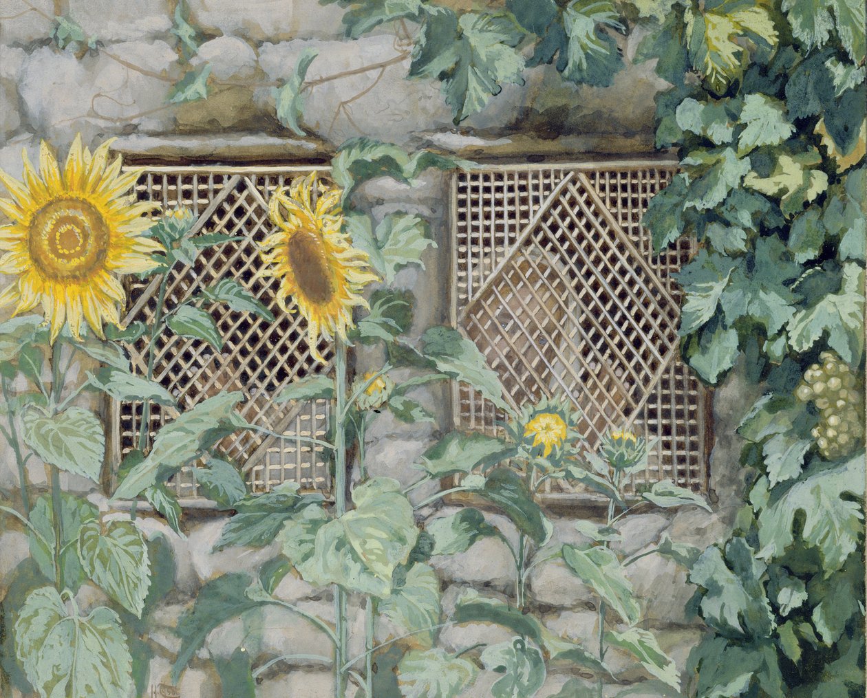 Jesus ser gennem et gitter med solsikker, illustration til The Life of Christ, ca. 1886-96 (gouache og wc på papir) af James Jacques Joseph Tissot
