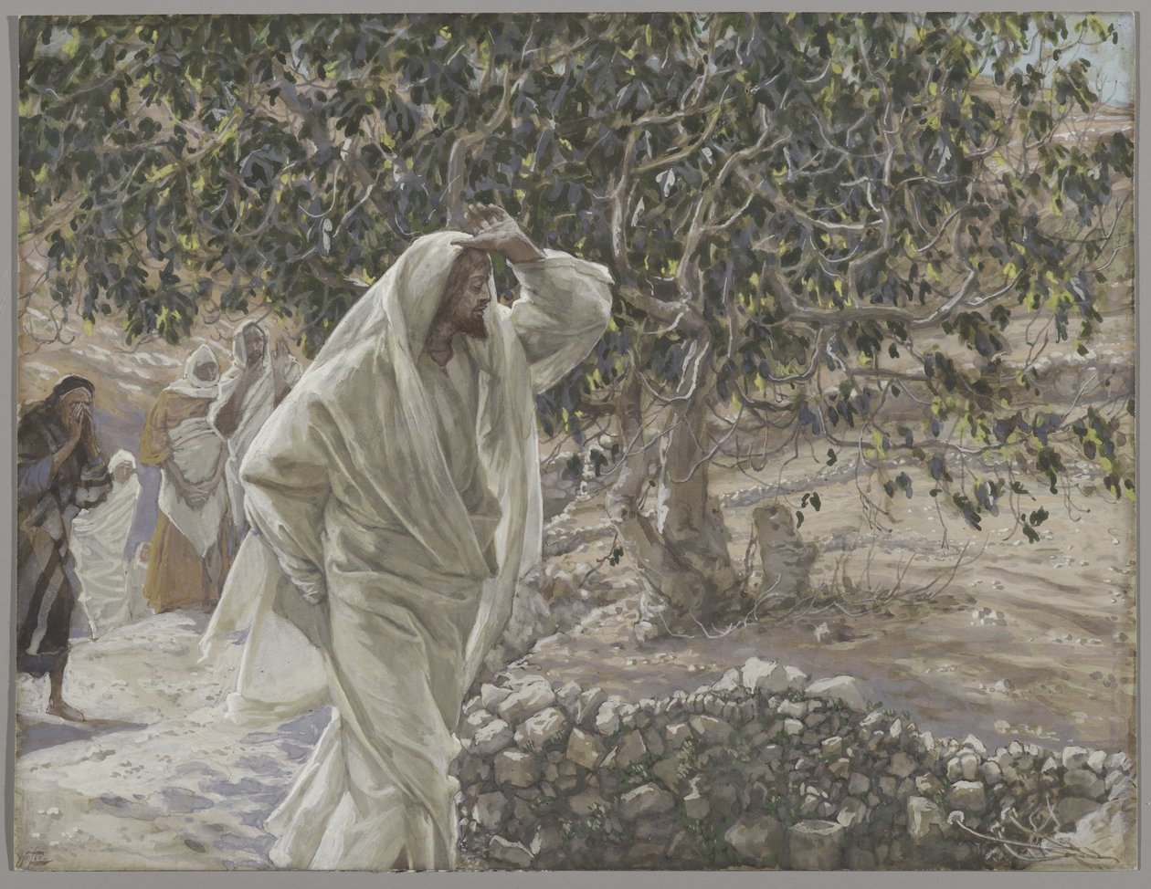 Det forbandede figentræ, illustration fra Vor Herre Jesu Kristi liv, 1886-94 (wc over grafit på papir) af James Jacques Joseph Tissot