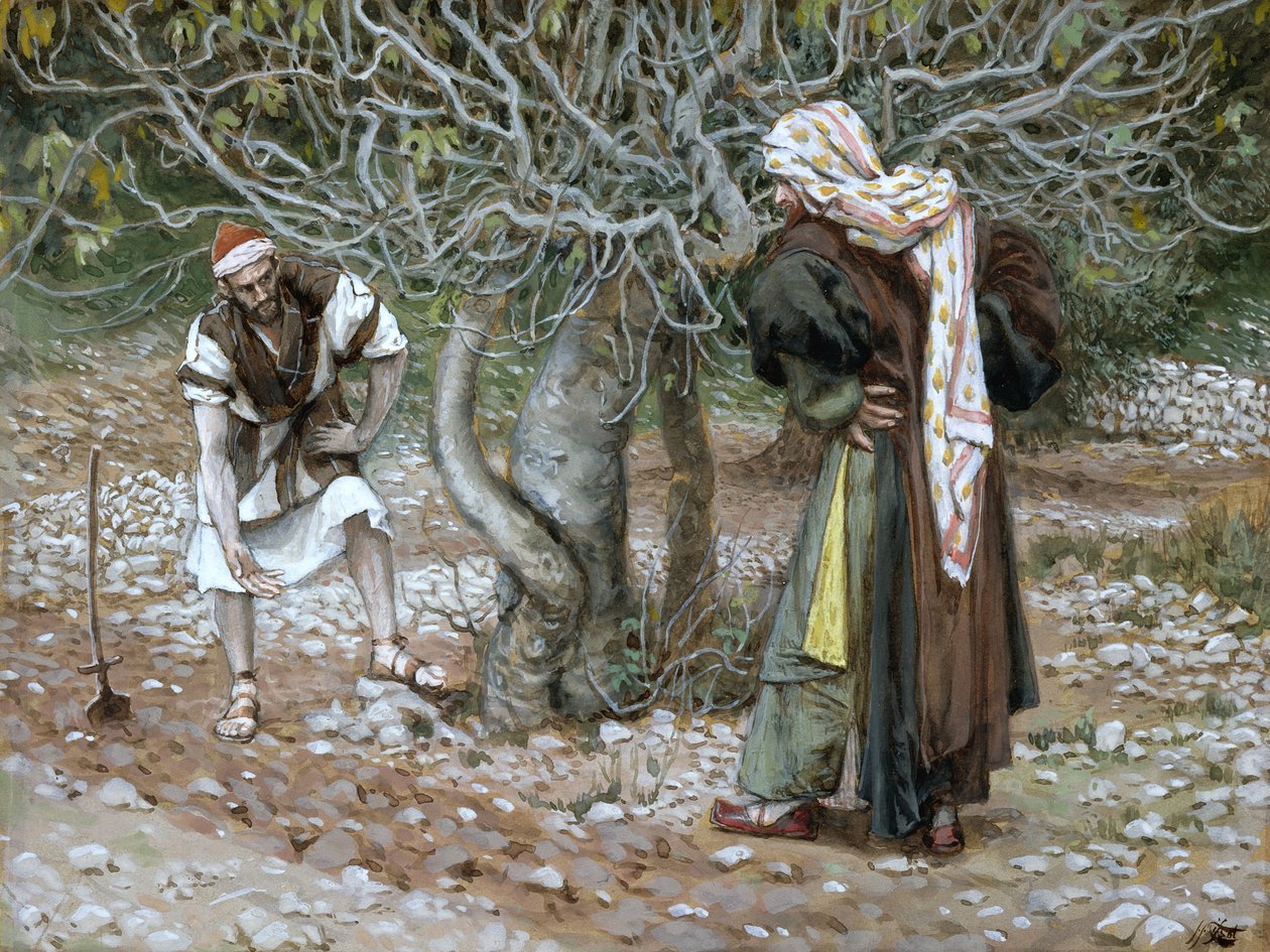 The Barren Fig Tree, illustration til The Life of Christ, ca. 1886-94 (wc & gouache på pap) af James Jacques Joseph Tissot