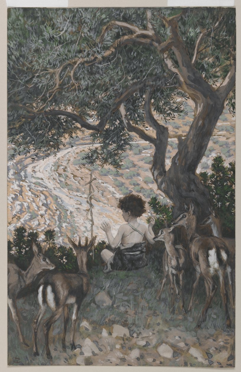 Johannes Døberens barndom, illustration fra Vor Herre Jesu Kristi liv (wc over grafit på papir) af James Jacques Joseph Tissot