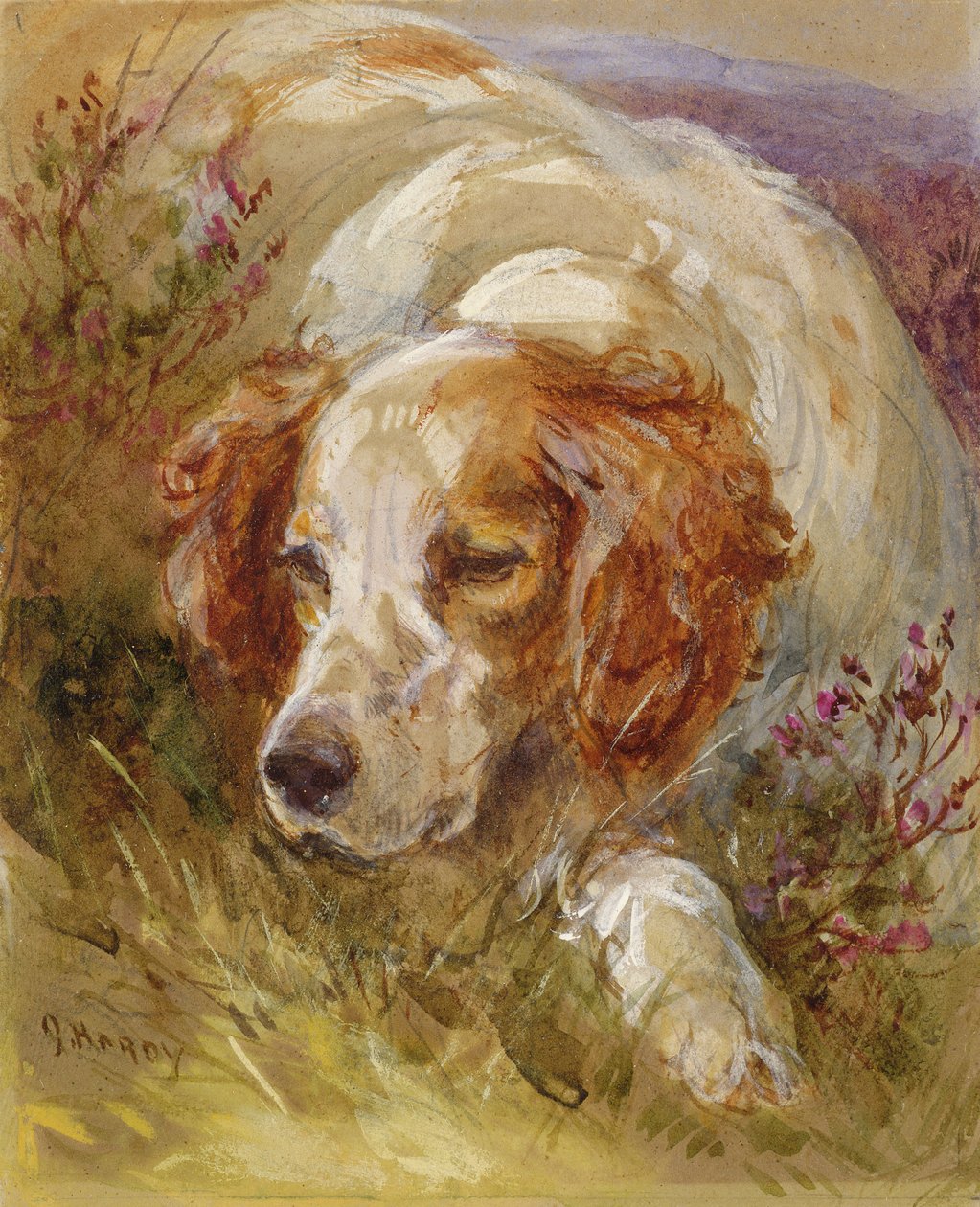 En spaniel (wc og bodycolour på papir) af James Jnr Hardy