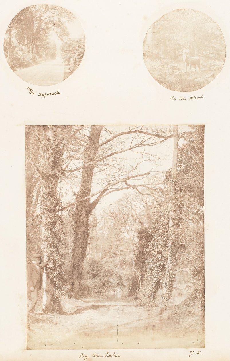Tilnærmelsen, i skoven, ved søen, 1853-56. af James Knight