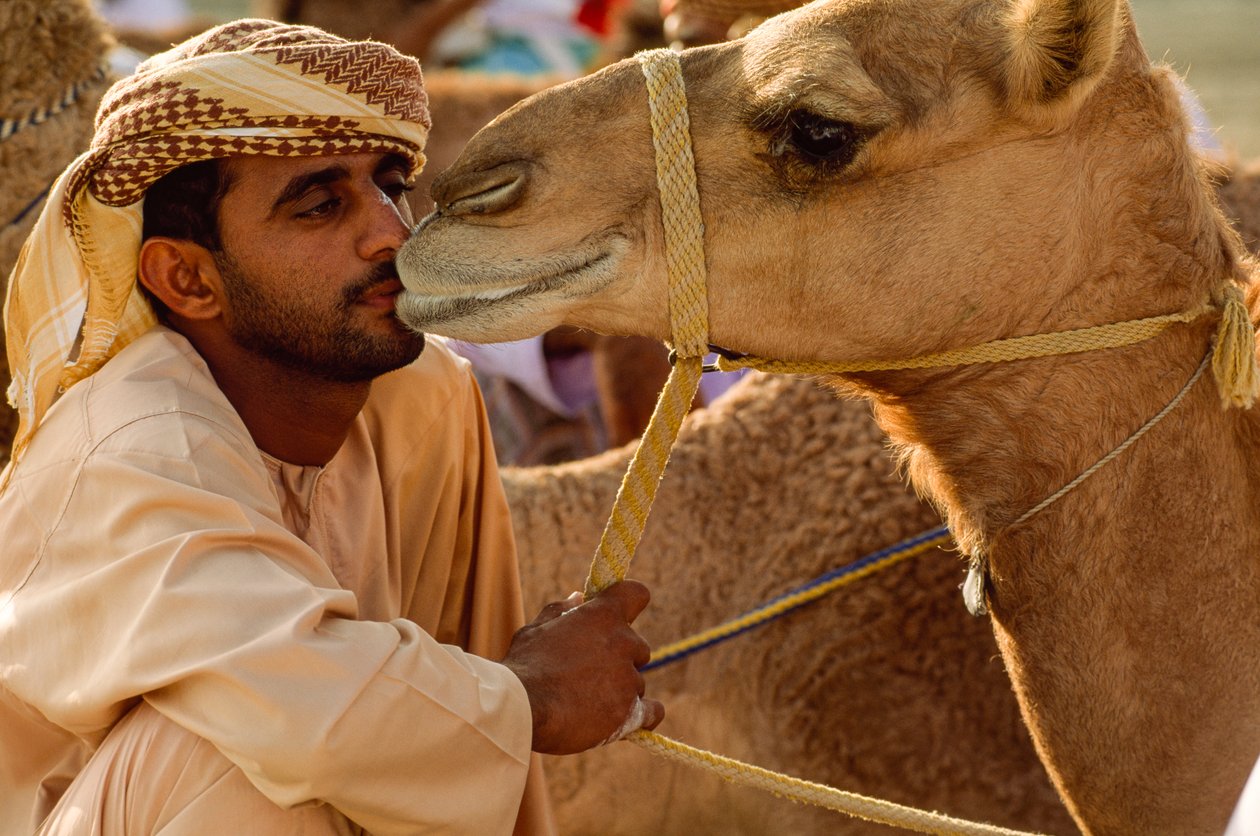 En omaner kysser sin blødøjede kamel ved National Day Camel Race. Al Falaj Distri... af James L Stanfield