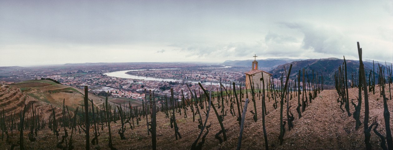 En vingård med udsigt over byen og Rhône-floden. SOCIETE PAUL JABOULET AINE VIN... af James L Stanfield