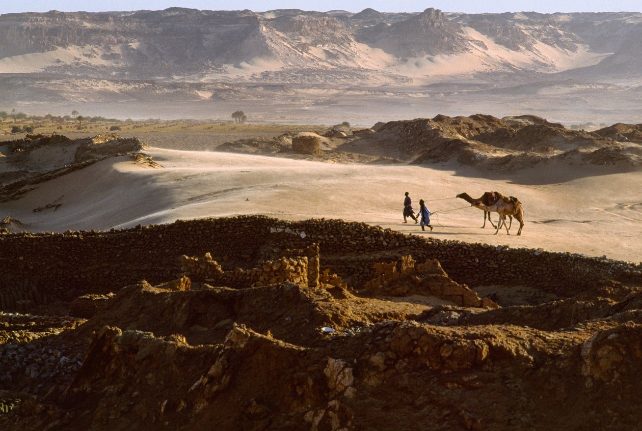 Kamel med saltkaravanemedlemmer krydser et ørkenplateau ved BILMA, NIGER. BILMA, NIGER. af James L Stanfield