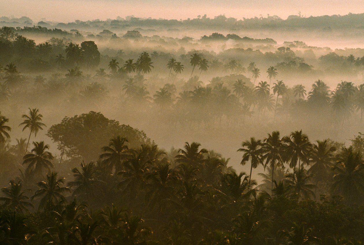 Tidlig morgentåge ligger over det gamle Goa-landskab ved solopgang. GAMLE GOA, GOA, INDIEN. af James L Stanfield
