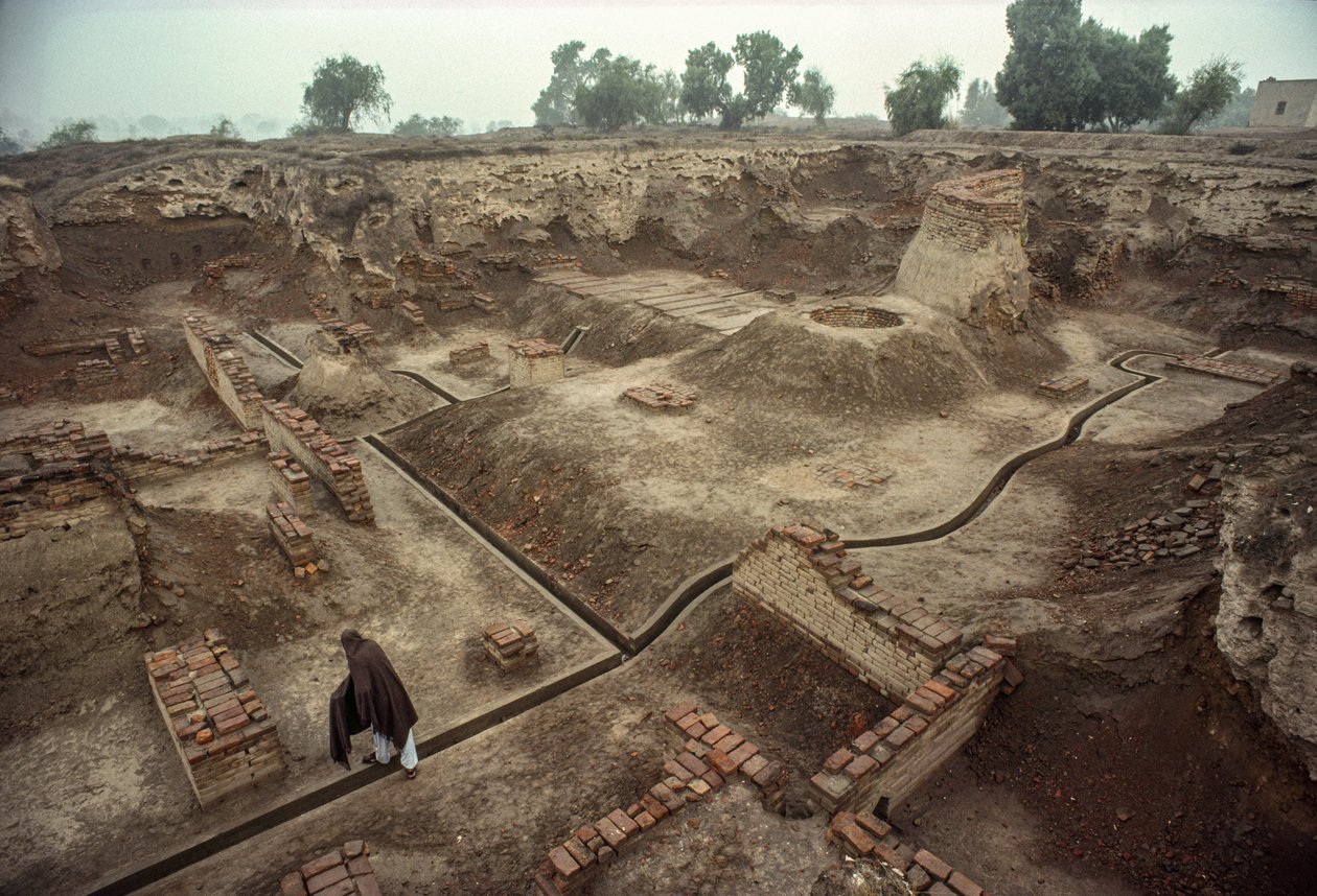 Oversigt over en grube fyldt med rester af murstensvægge, en murstensbrønd. HARAPPA E... af James L Stanfield