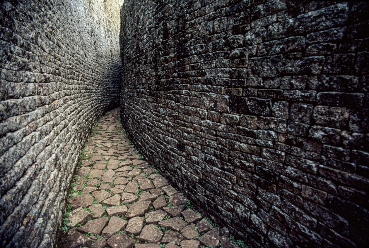 Ruinerne af Great Zimbabwe blev bygget i 1250 e.Kr. af James L Stanfield