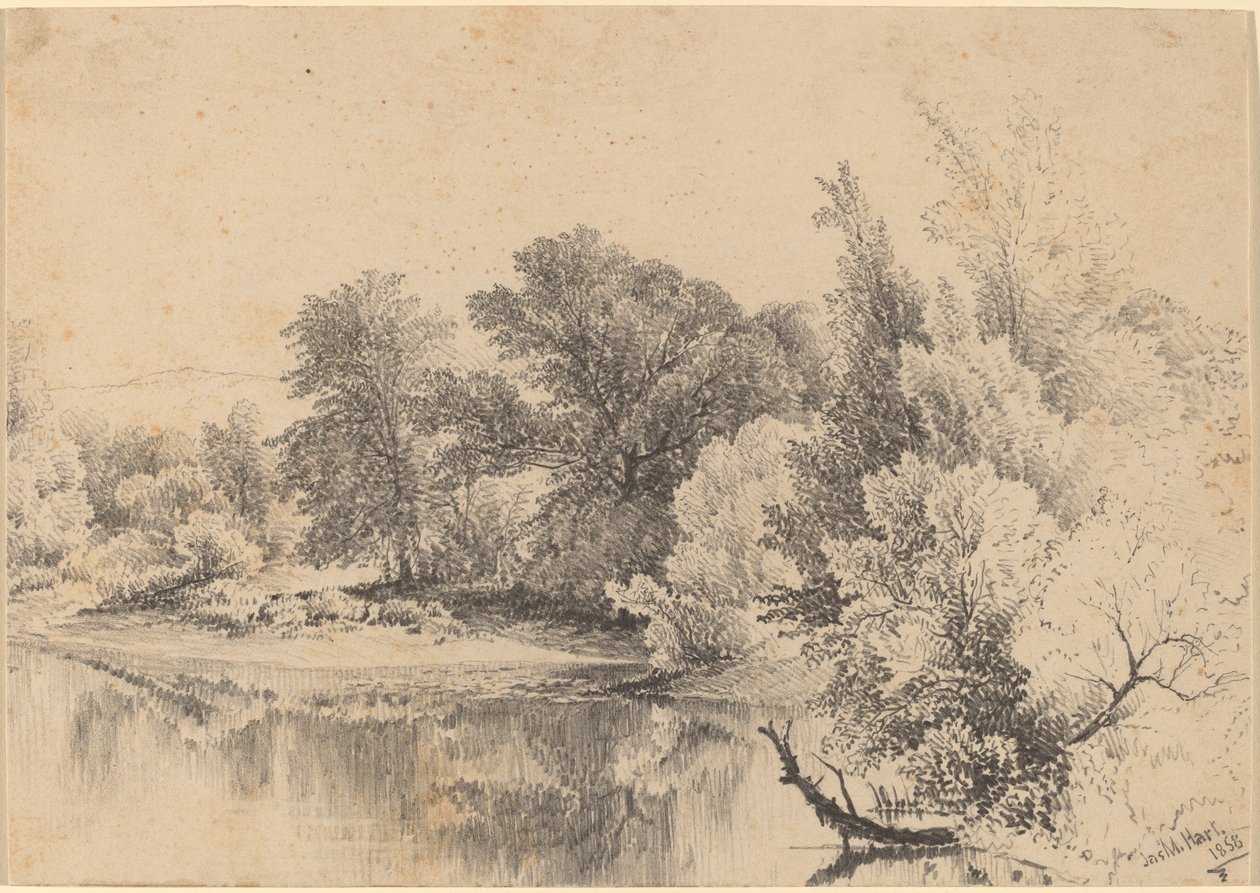 Damkant af James McDougal Hart