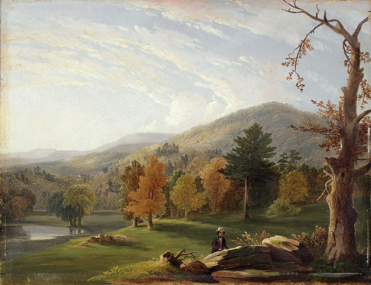 View Among the Helderbergs, Catskills in the Distance, 1850 af James McDougal Hart