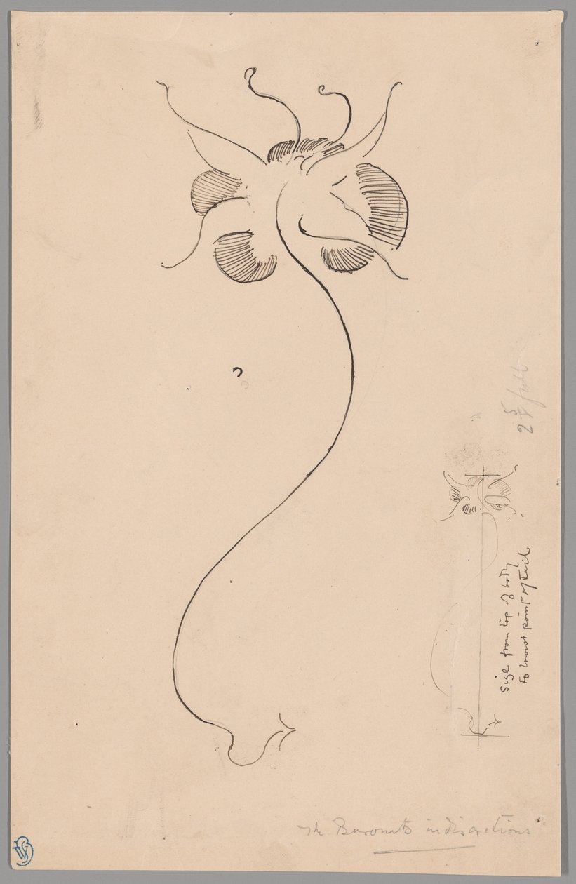 Sommerfugl (recto); Studie af sommerfugl (verso) af James McNeill Whistler