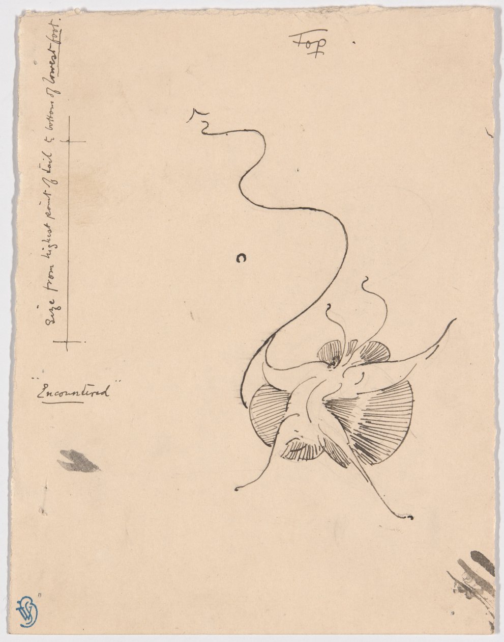 Sommerfugl "Encountered" (recto); Skitse til bagstykke (verso) af James McNeill Whistler