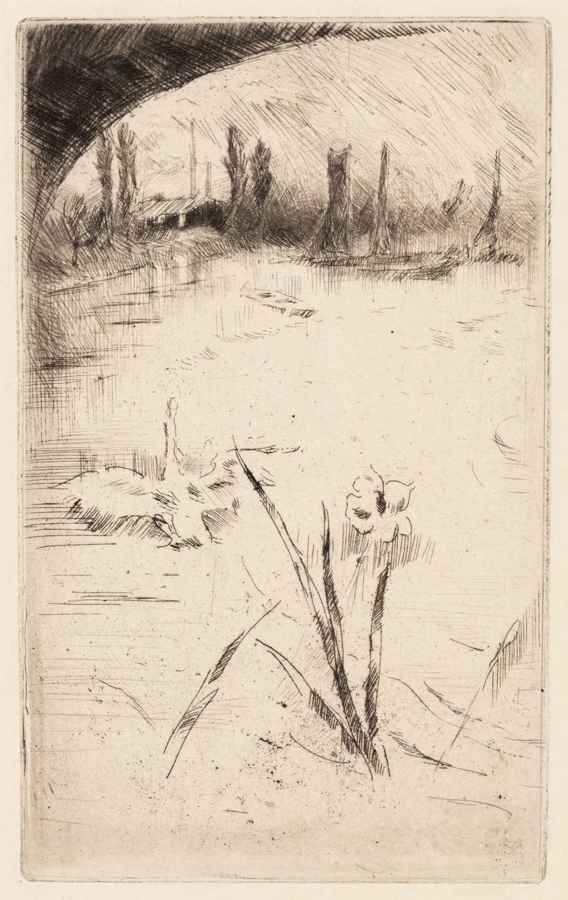 Skitse efter Cecil Lawsons "Svane og Iris" af James McNeill Whistler
