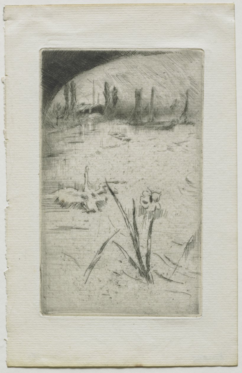 Svane og iris af James McNeill Whistler