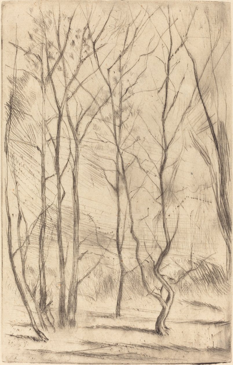 Dæmningsskoven af James Abbott McNeill Whistler