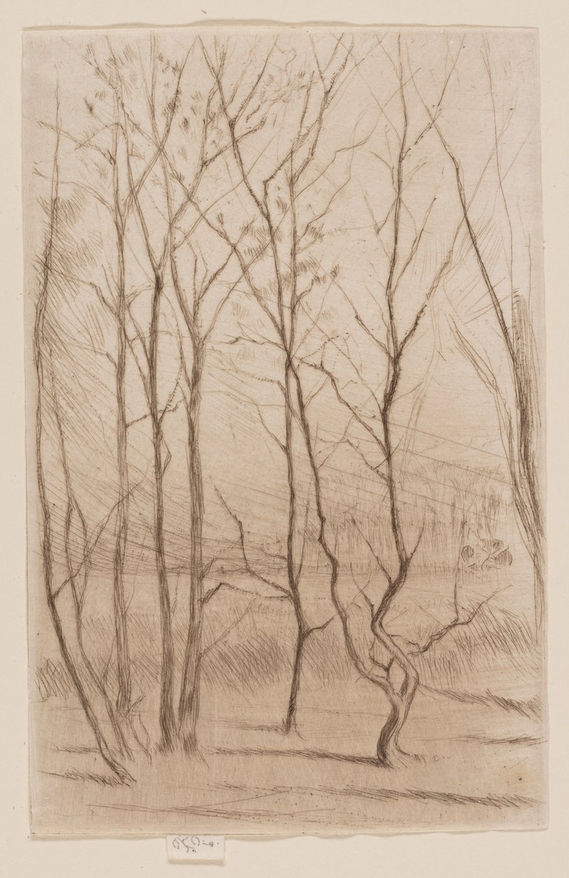 Dæmningsskoven af James Abbott McNeill Whistler