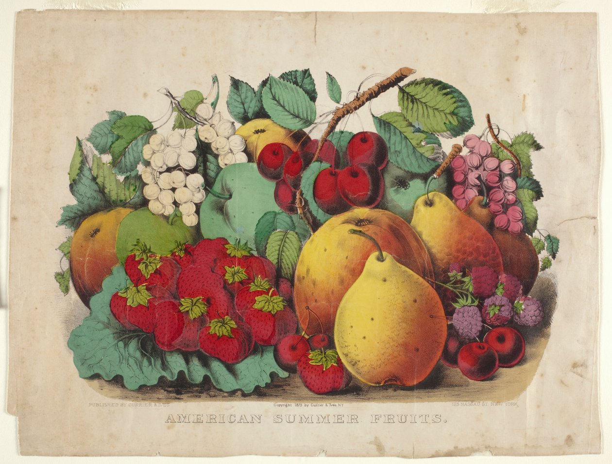 Amerikansk sommerfrugt af James Merritt Ives