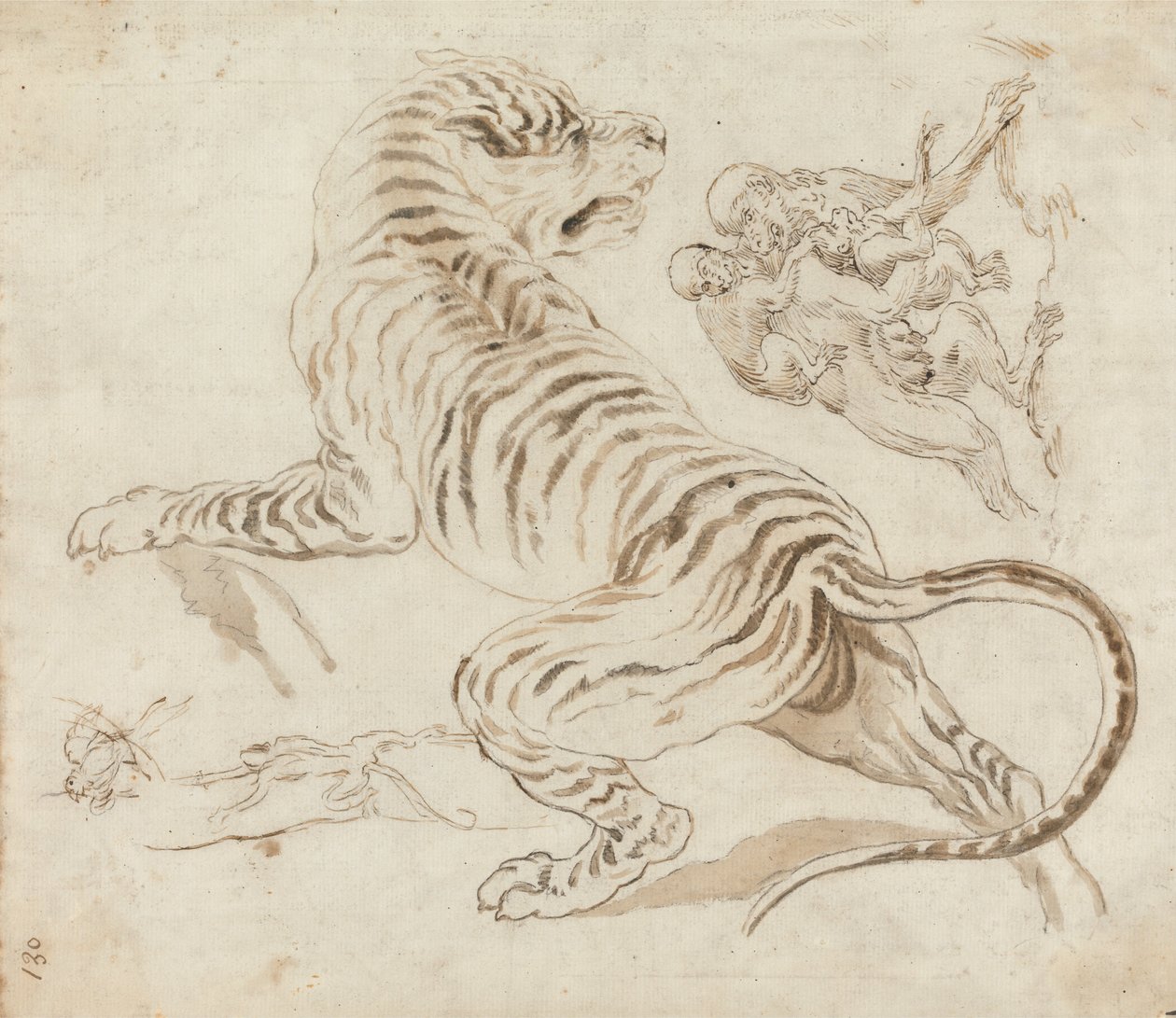 Studie for en tiger og aber af James Northcote